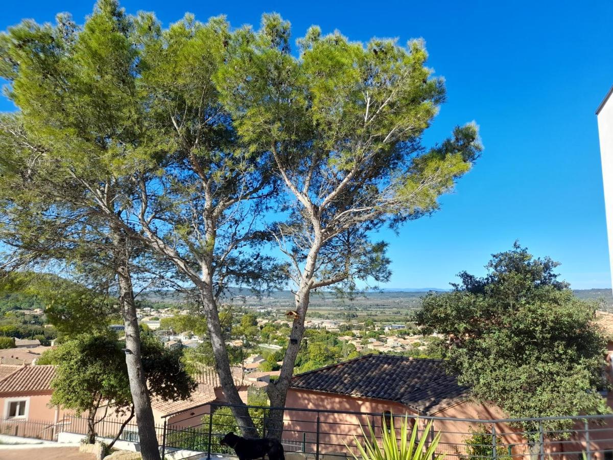Studio Du Roc Des Garrigues Langlade Kültér fotó