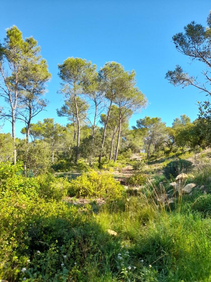 Studio Du Roc Des Garrigues Langlade Kültér fotó